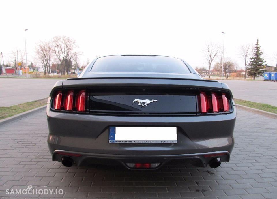 Ford Mustang 2.3L TURBO 317KM MT 2015r. Europa 100% FV23% 7