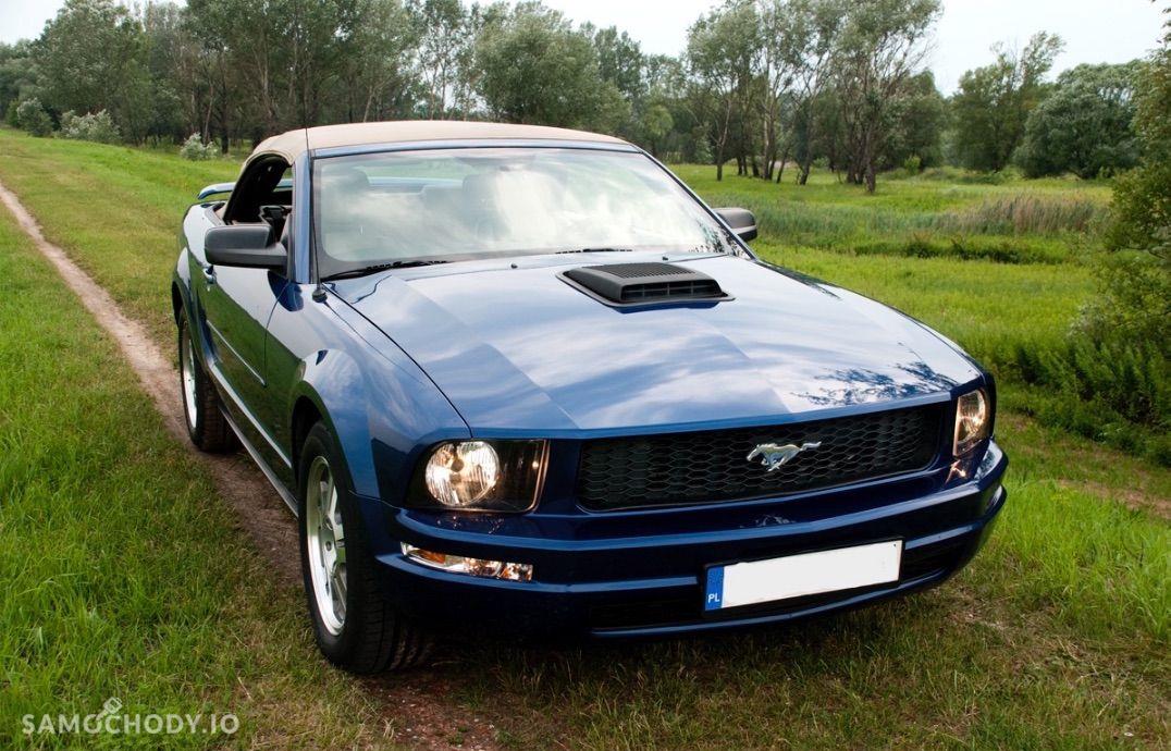 Ford Mustang 4.0 V6 kabriolet, shaker, jasna skóra 7