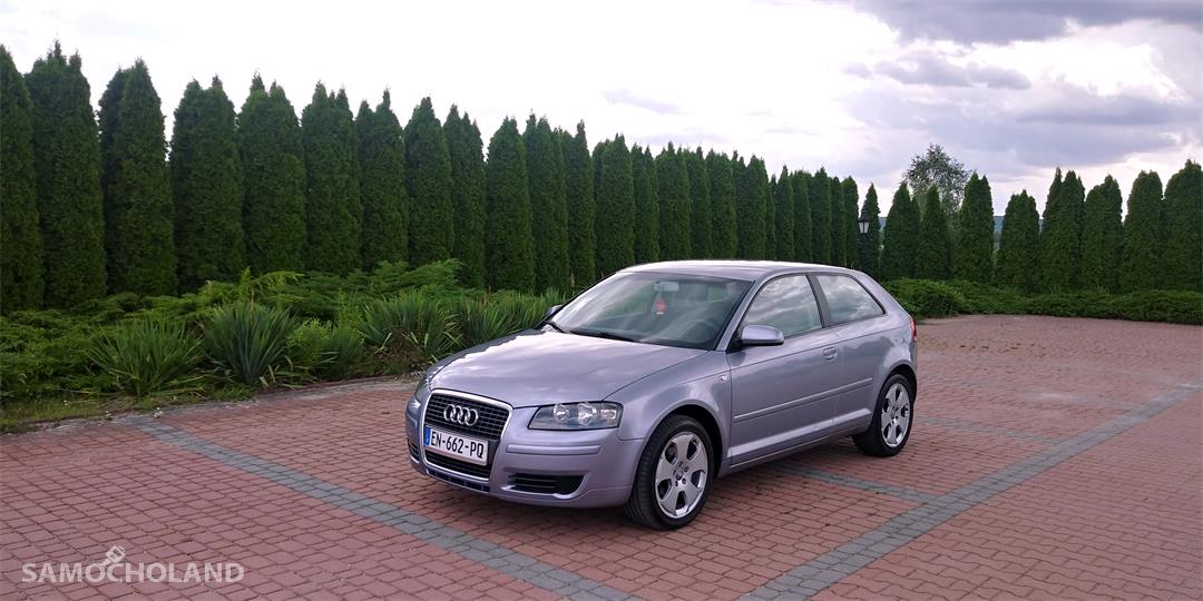 Audi A3 8P (2003-2012) 1.6 MPI 2008r. Zadbana Klimatro. Alufel. Po Opłatach 2