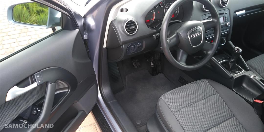 Audi A3 8P (2003-2012) 1.6 MPI 2008r. Zadbana Klimatro. Alufel. Po Opłatach 16