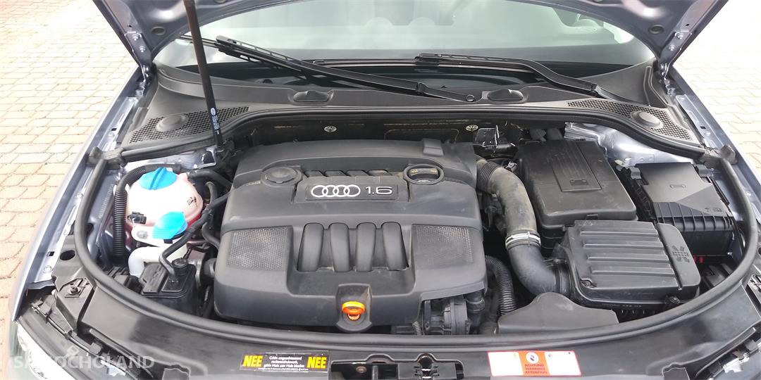 Audi A3 8P (2003-2012) 1.6 MPI 2008r. Zadbana Klimatro. Alufel. Po Opłatach 29
