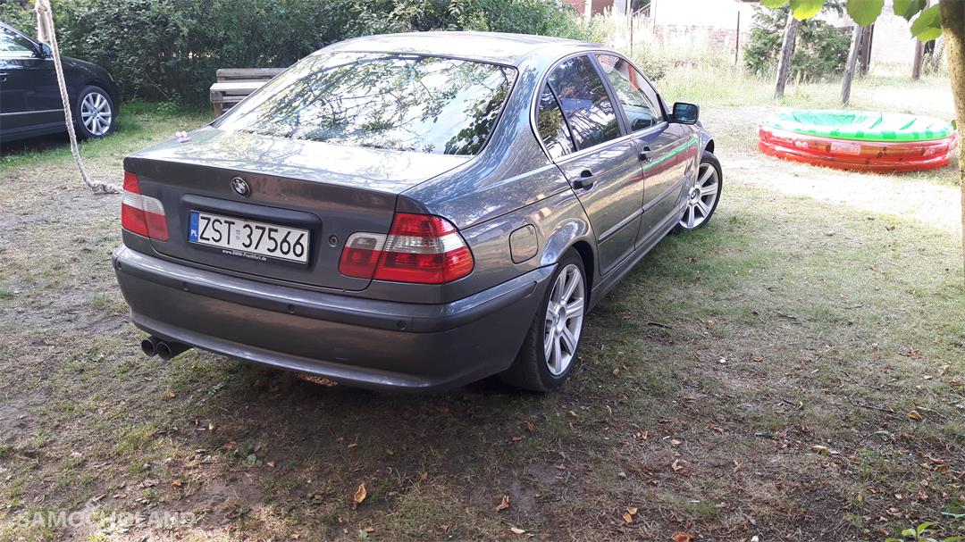 BMW Seria 3 E46 (1998-2007) Bmw e46 sedan 2,0 134km benz +gaz 37