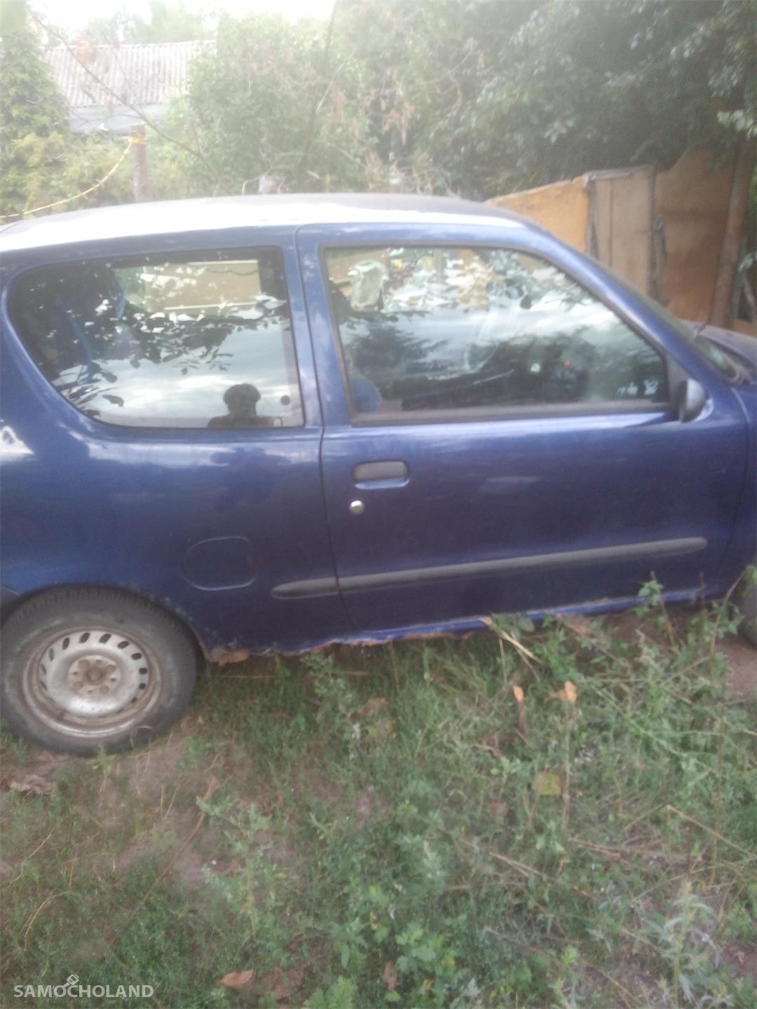 Fiat Seicento Fiat Seicento YOUNG 899 1