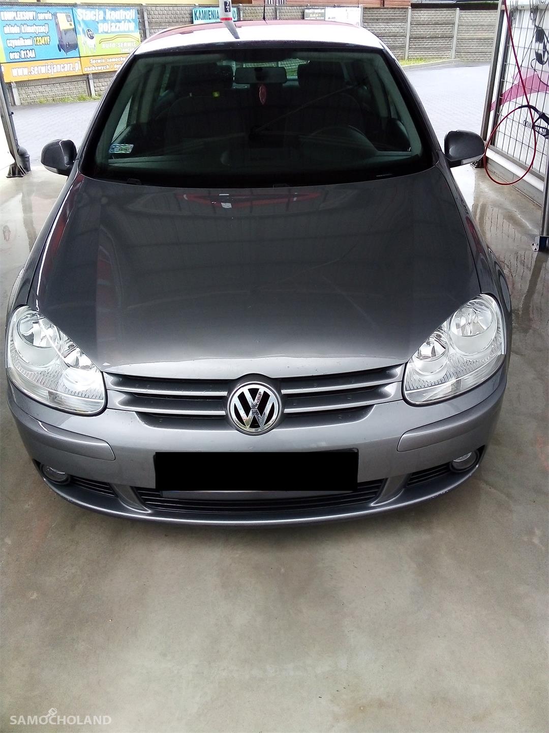 Volkswagen Golf V (2003-2009)  2